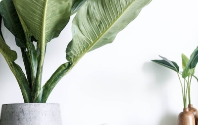 We Coordinate OurServices Locally3